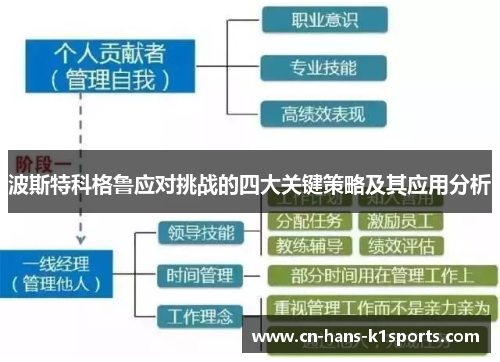 波斯特科格鲁应对挑战的四大关键策略及其应用分析