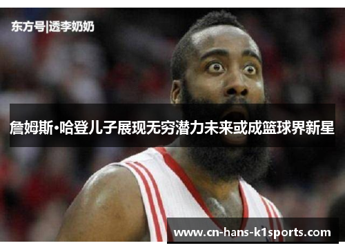 詹姆斯·哈登儿子展现无穷潜力未来或成篮球界新星