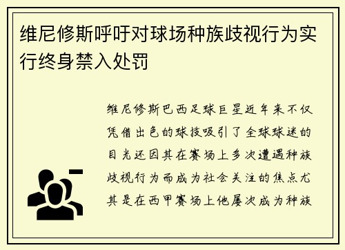 维尼修斯呼吁对球场种族歧视行为实行终身禁入处罚