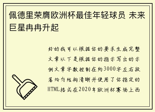 佩德里荣膺欧洲杯最佳年轻球员 未来巨星冉冉升起